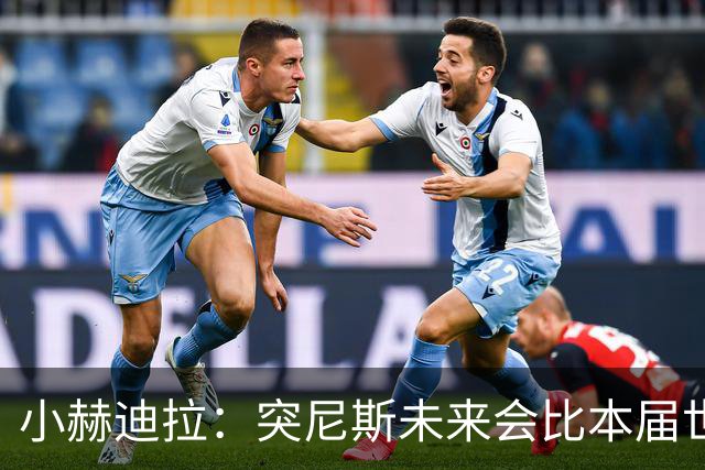 小赫迪拉：突尼斯未来会比本届世界杯更好 批评？我已经付出全力