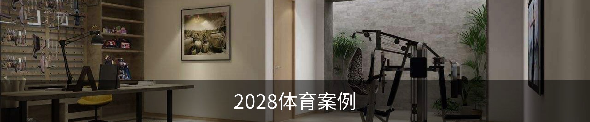 2028体育案例