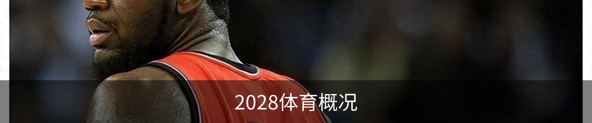 2028体育概况
